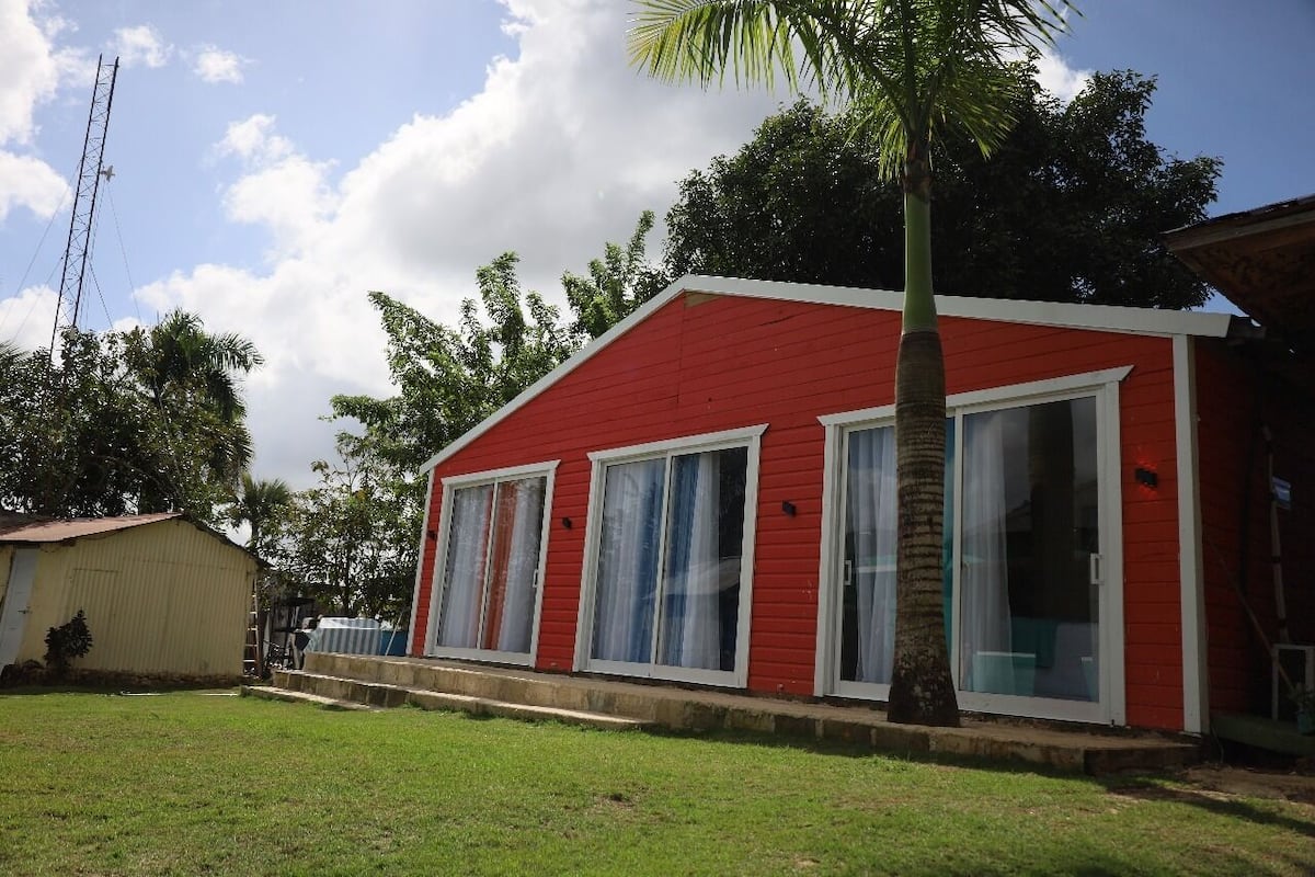 A red building with large windows and a palm tree in front.