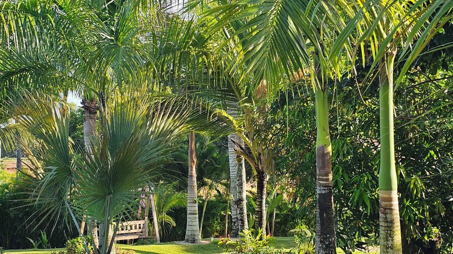 Hacienda corales de margarita