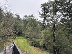 Property grounds - Escape to Blackwood - Your Private Forest Retreat (Glentui)