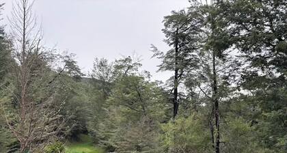 Escape to Blackwood - Your Private Forest Retreat