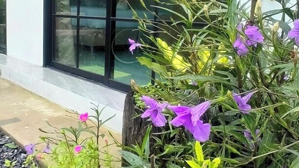 Un edificio moderno con amplios ventanales y un jardín cuidado con flores moradas y amarillas.