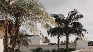 A landscaped outdoor area with palm trees, a pathway, and a modern building with a white facade. - Isola Gerroa (Gerroa)