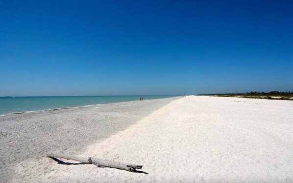Nära stranden