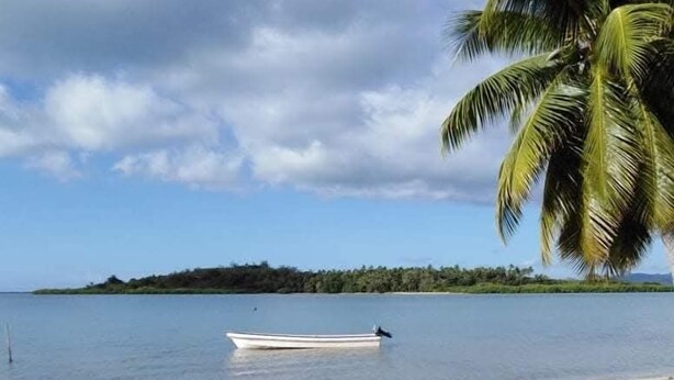 A boat on calm water, a sandy beach, and a palm tree. - Korovou Homestay Fiji (Naduri)