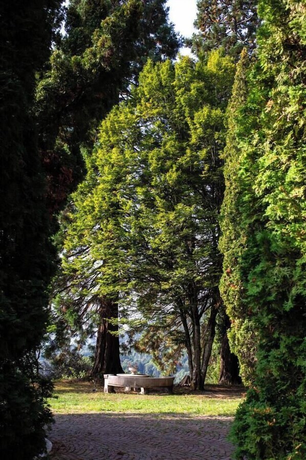 Parco della struttura