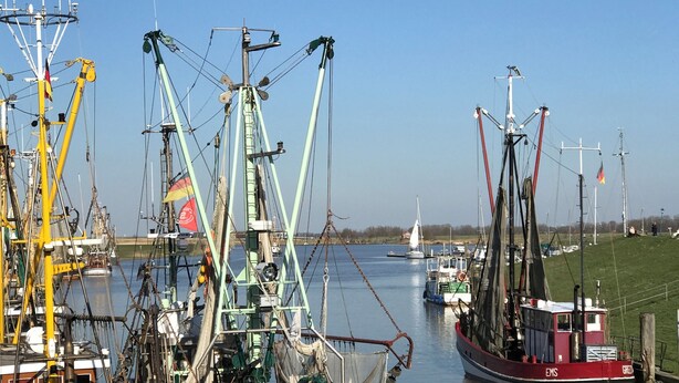A harbor with several fishing boats docked, including one named 'GREESE'. - Vacation home Iljo in the fishing village of Greetsiel, Frisian coziness, 4 persons (Krummhörn)
