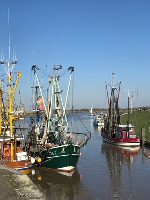 A harbor with several fishing boats docked, including one named 'GREESE'.