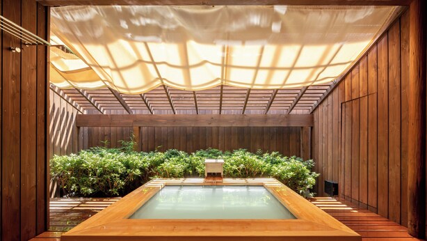 Et træspa med jacuzzi, omgivet af planter og en træterrasse.