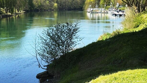 Un río tranquilo con barcos amarrados a la derecha, rodeado de exuberante vegetación y árboles.