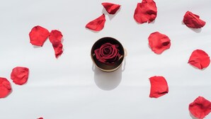 Una rosa roja solitaria en un recipiente pequeño y redondo, rodeada de pétalos de rosa roja dispersos sobre una superficie blanca.
