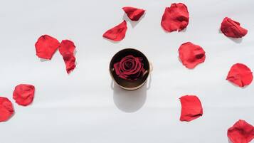 En enkelt rød rose i en lille, rund beholder omgivet af spredte røde rosenblade på en hvid overflade.