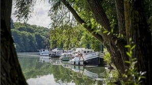 A calm lake with boats docked along the shore, surrounded by lush greenery and trees. - L'Escale Royale La Ferté-sous-Jouarre (La Ferté-sous-Jouarre)