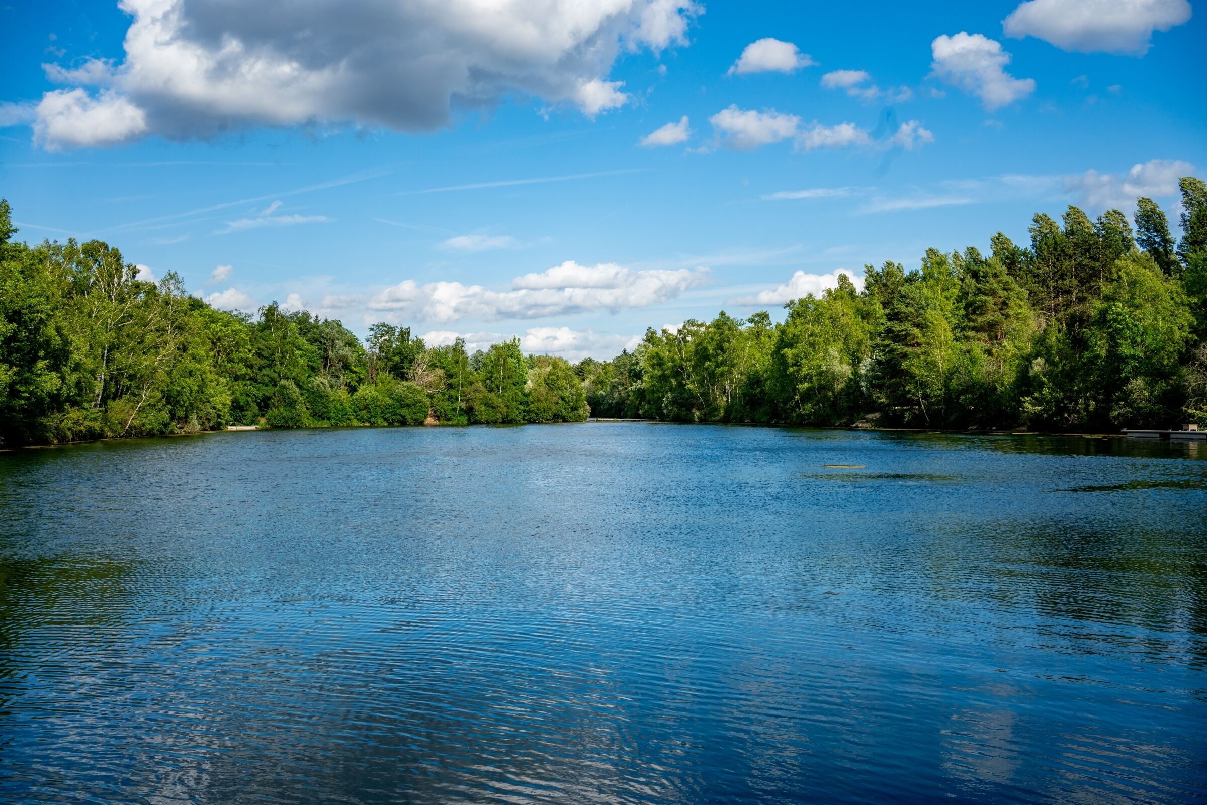 Un lago tranquilo rodeado de un bosque verde y frondoso bajo un cielo azul despejado.