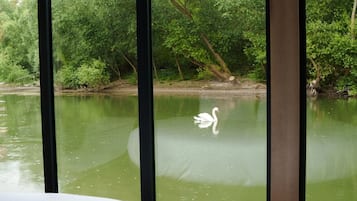 Panoramic Suite, River View