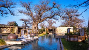 A swimming pool with lounge chairs, a pergola, and a stone wall. - Casa del Toro Luxury Ranch (Nguekhokhe)