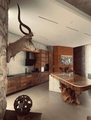 Private kitchen - Casa del Toro Luxury Ranch (Nguekhokhe)