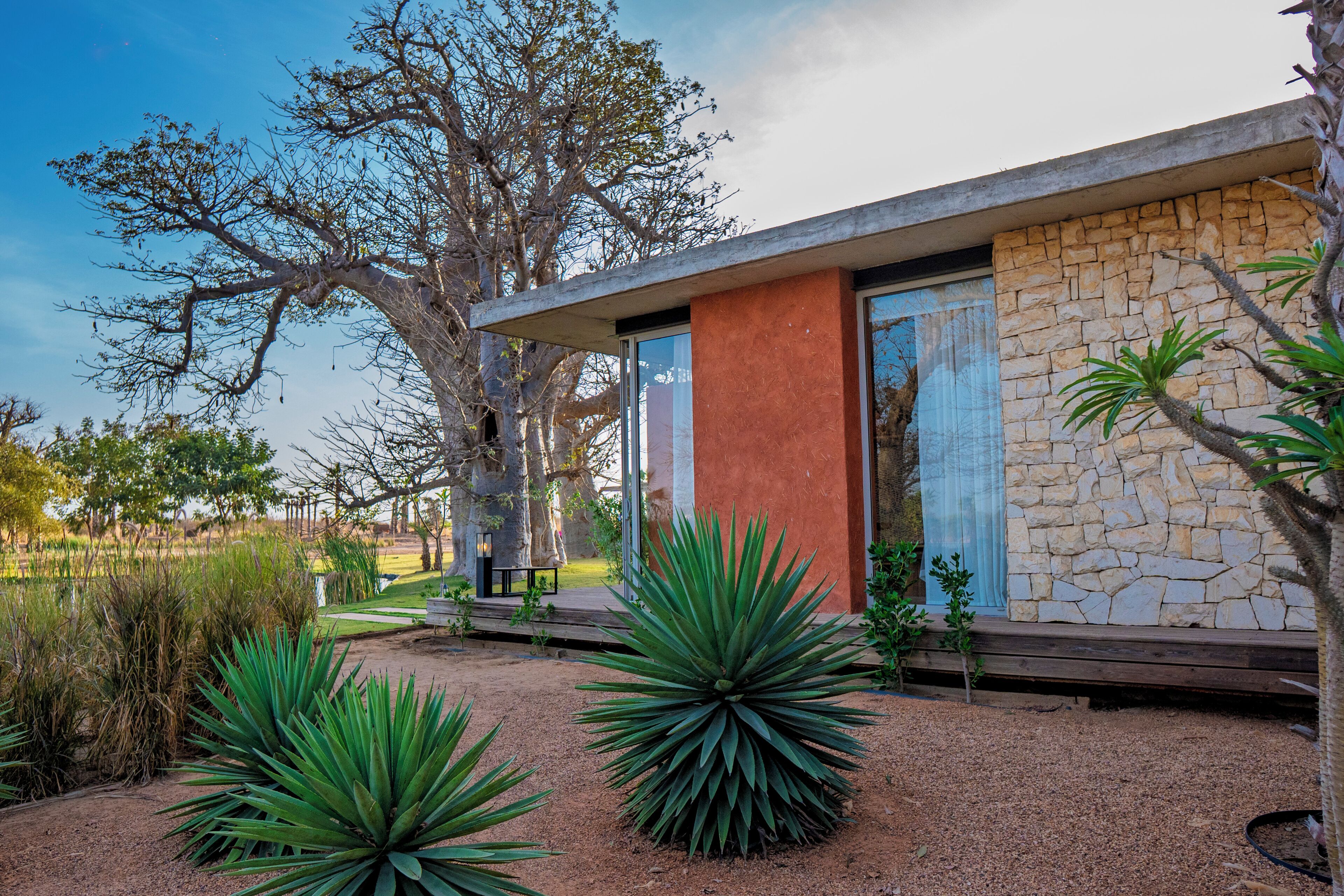 A modern building with a stone facade, large windows, and a landscaped garden with agave plants.