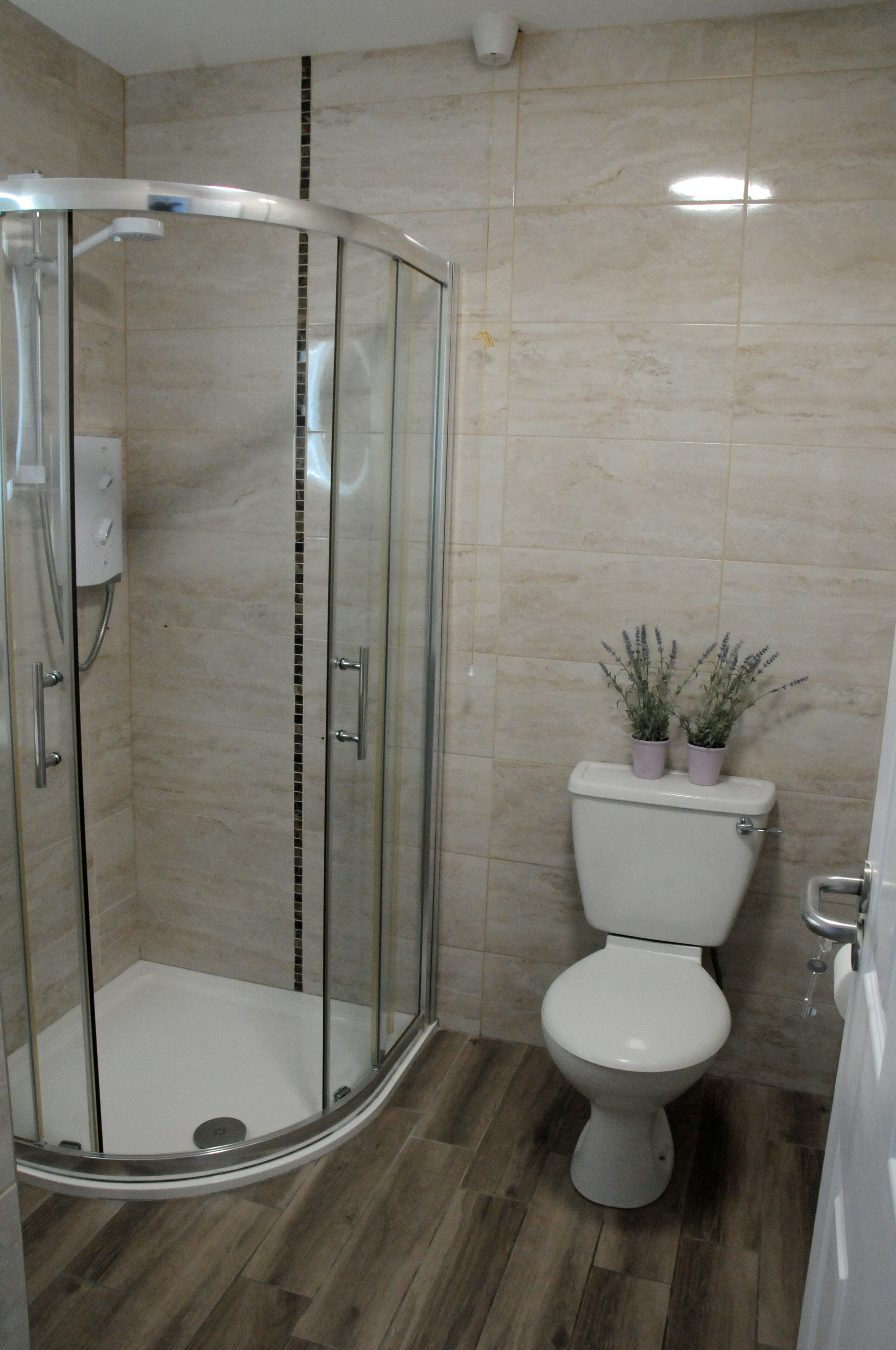 A modern bathroom with a glass-enclosed shower, a toilet, and two potted plants on the toilet tank.