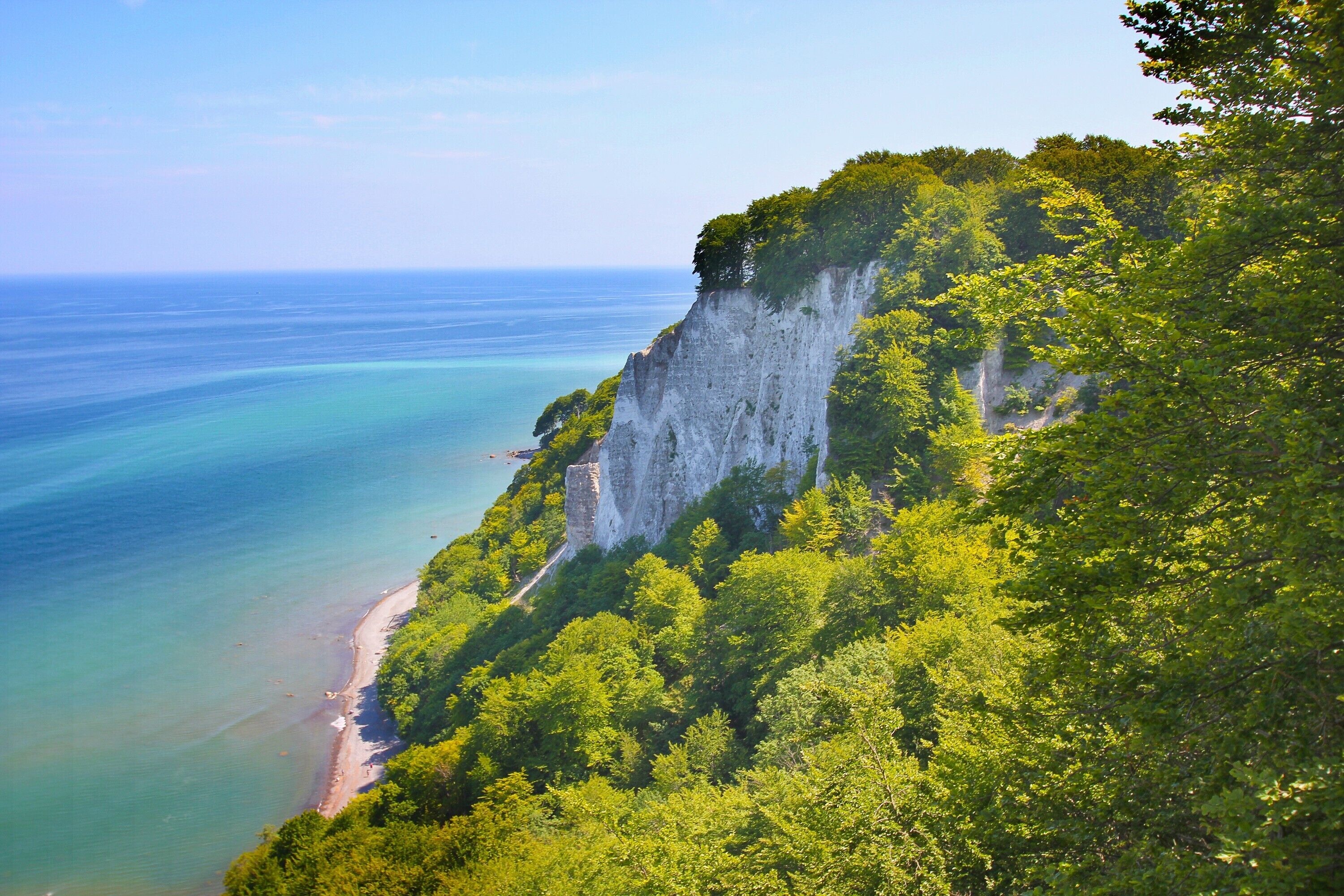 A coastal landscape with a cliff, beach, and dense greenery.