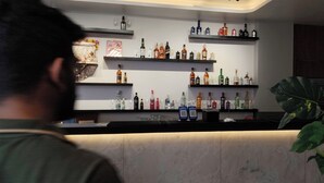 A bar area with shelves of various liquor bottles and glasses, a bar counter, and a large plant.