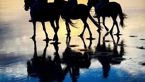 Silhouettes of three people riding horses on a beach at sunset. - 90 Mile Paradise  (Kaitaia)