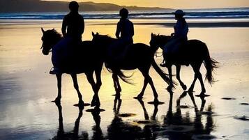 Beach nearby, white sand