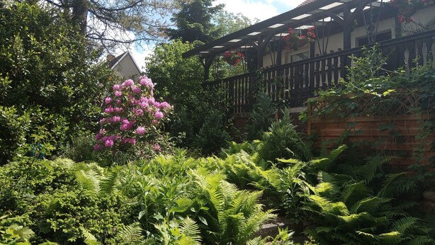 Un jardín exuberante con diversas plantas y un pérgola adornada con cestas de flores colgantes.
