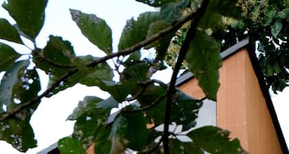 Hornbill Farm Retreat- Organic getaway, Functions near Hyderabad