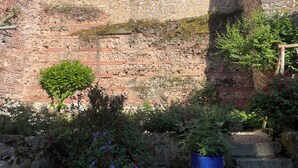 A stone wall with a small tree and flowering plants in front. - Lodging for the 24h of Le Mans week in the historic city center. (Le Mans)