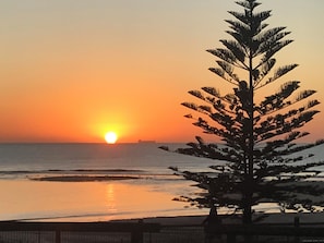 A sunset over the ocean with a silhouette of a tree in the foreground. - Amazing Ocean Views, Spacious Waterfront Holiday Apartment (The Entrance)