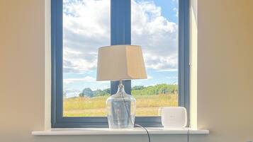 TV connectée, cheminée, livres