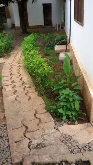 Exterior - BOUGAINVILLERS  (Lomé)