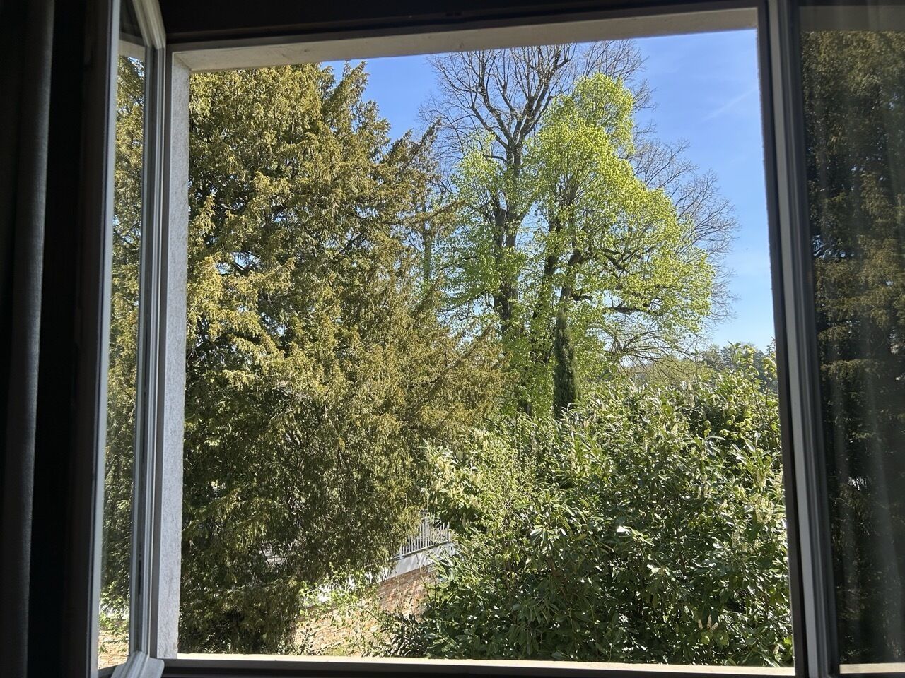 A window with a view of dense foliage and a building in the background.