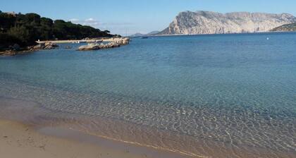 Villa on the sea Sardinia Capo Coda Cavallo with beach Cala Suaraccia at 200 Mt