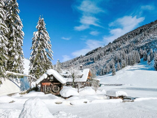 A snow-covered lodge with a wooden exterior, surrounded by snow-laden trees and a mountainous backdrop.