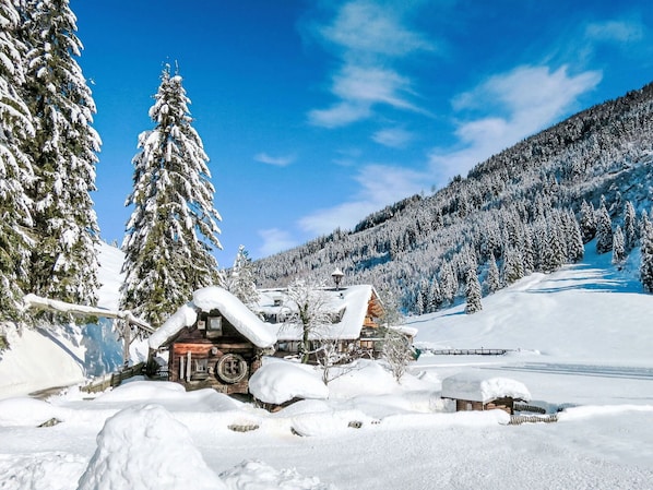 A snow-covered lodge with a wooden exterior, surrounded by snow-laden trees and a mountainous backdrop.