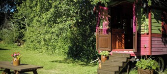 1946 "Pacouli" caravan in a wooded meadow