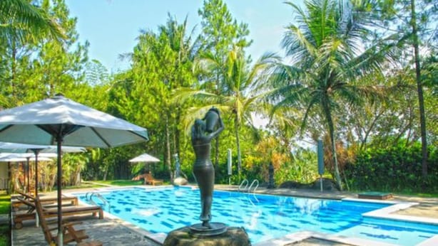 A swimming pool with lounge chairs and umbrellas, surrounded by palm trees. - Villa Grand Artos (Magelang)