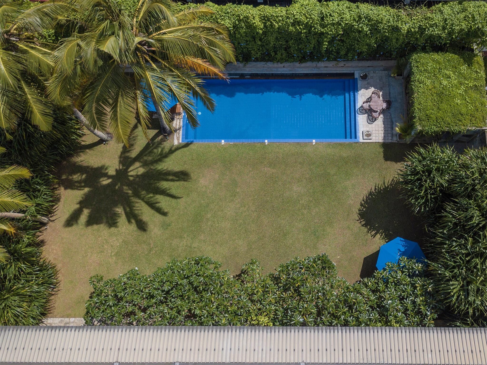 An aerial view of a swimming pool surrounded by lush greenery and palm trees.