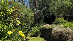 A well-maintained garden with a variety of plants and flowers, a stone wall, and a clear blue sky.