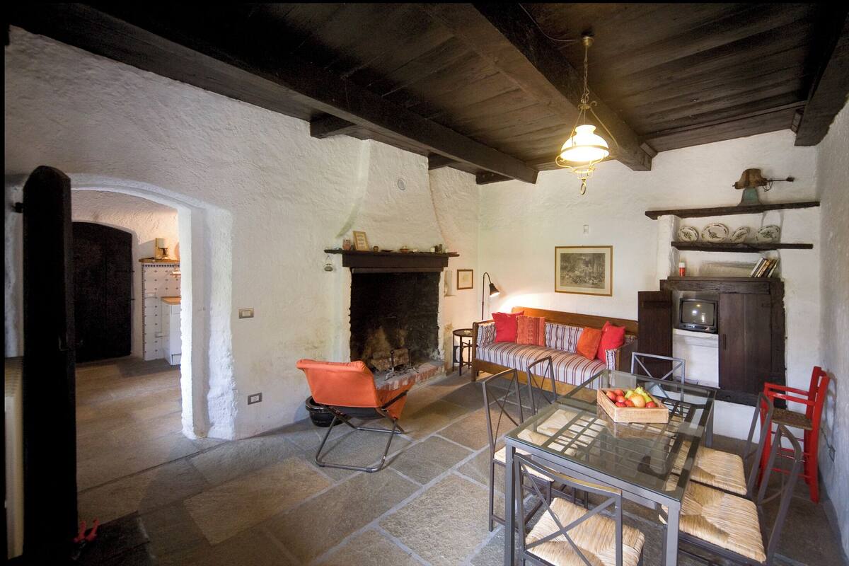 A rustic living room with a fireplace, a sofa, a dining table with chairs, and a television.