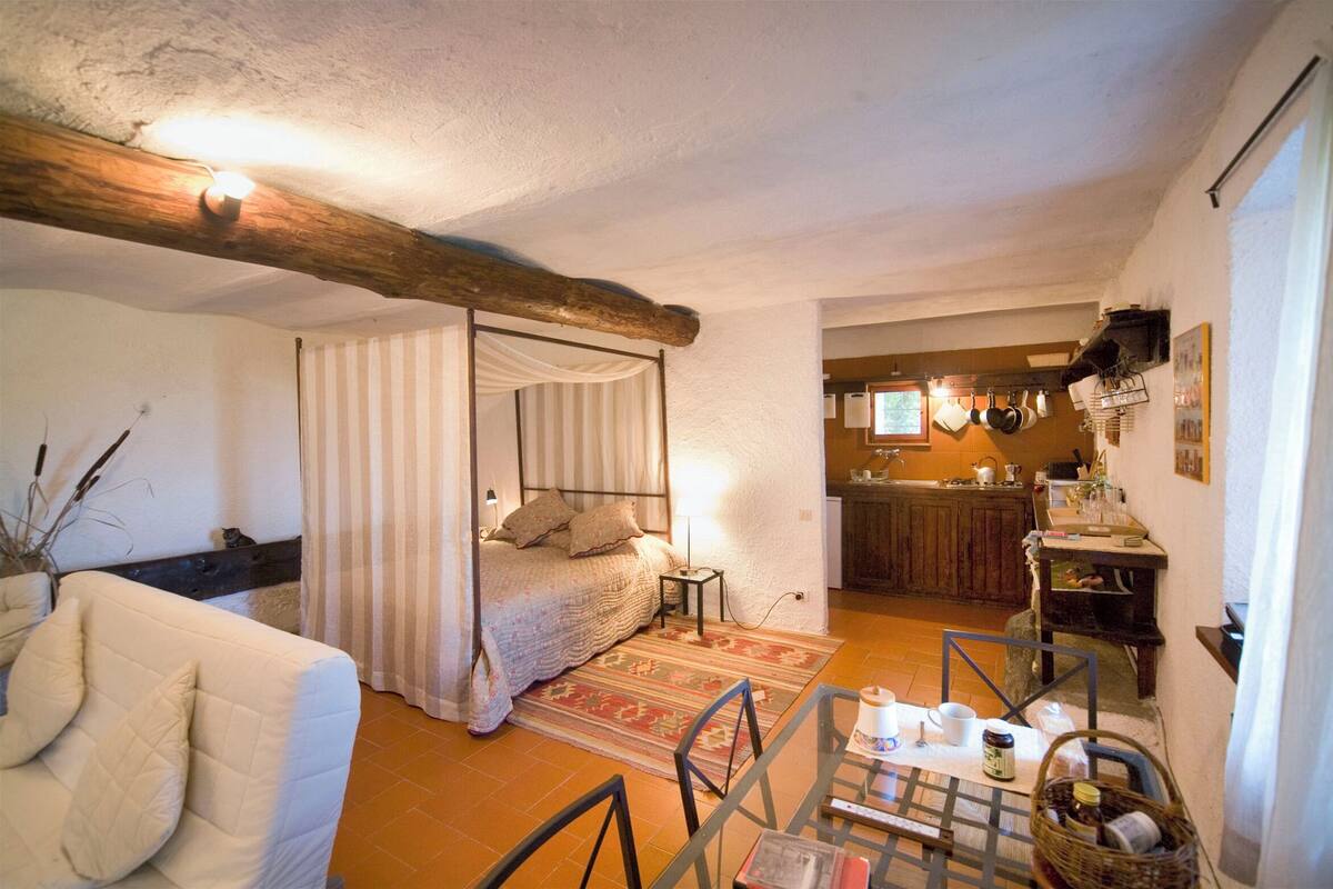 A cozy room with a bed, a dining table, and a kitchen area.