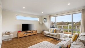 TV, fireplace, DVD player, books