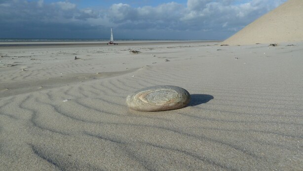 Unclassified image, 1 of 11, button