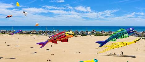 Una playa con varios cometas de colores volando en el cielo.