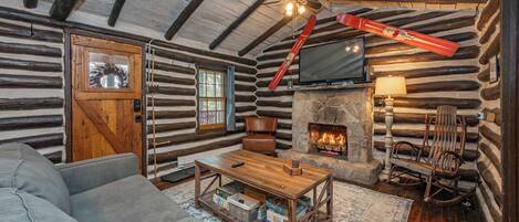 Télévision, cheminée, lecteur de DVD