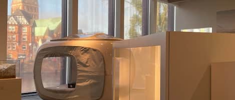 Comfort Tent, 1 Katil Ratu (Queen), City View | Cadar katil