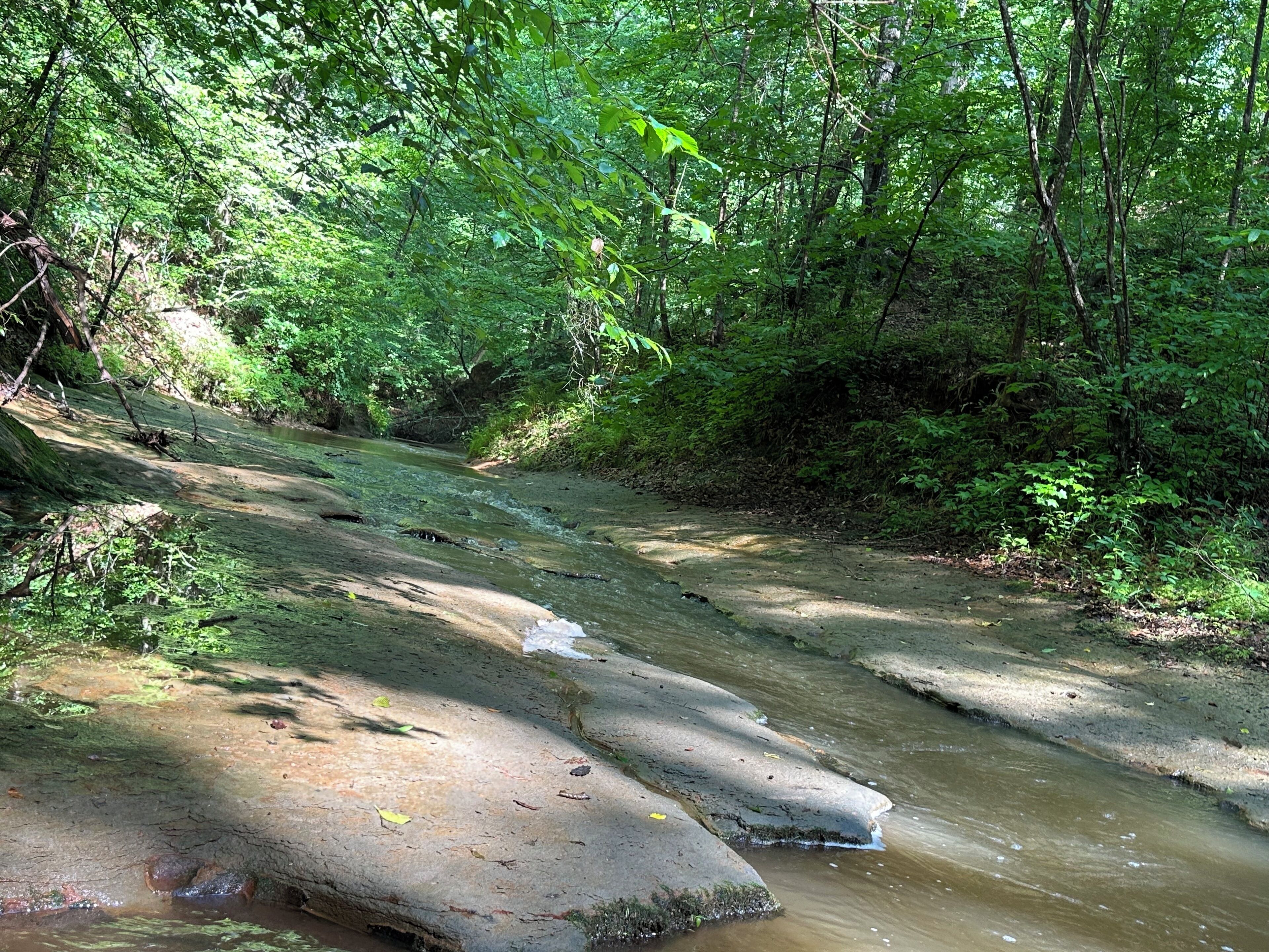 A natural stream flowing through a forested area with large rocks and dense greenery.