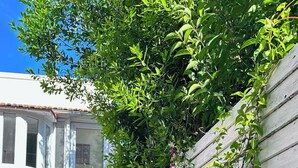 A staircase leading to a white building with a garden wall adorned with purple bougainvillea and other plants. - TOWNHOUSE 5 MN WALK FROM CANNES CROISETTE (Cannes)