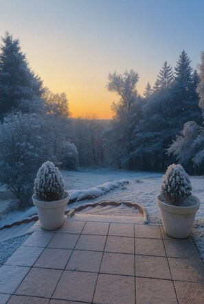 A paved area with two potted plants, surrounded by snow-covered trees and a clear sky.
